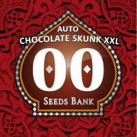 Auto  Chocolate  Skunk  X X L