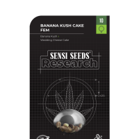 Banana  Kush  Cake  Feminised  Cannabis  Seeds 0