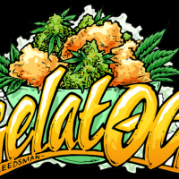 Gelat  O G  Feminised  Cannabis  Seeds