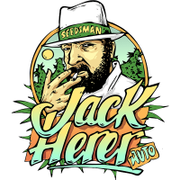 Jack  Herrer  Auto  Feminised  Cannabis  Seeds