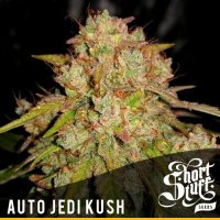 Jedi  Kush  Auto  Flowering  Cannabis  Seeds 0