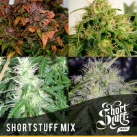 Mix  Feminised  Cannabis  Seeds