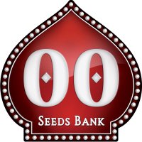 O O  Cannabis  Seeds  Logo 2