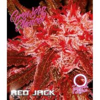 Red  Jack  Auto  Flowering  Cannabis  Seeds 0