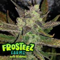 Slurpeez  Auto  Flowering  Cannabis  Seeds