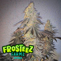 Smorez  Feminised  Cannabis  Seeds