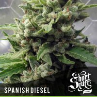 Spanish  Diesel  Auto  Flowering  Cannabis  Seeds 0