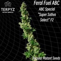 Feral  Fuel  Abc 6