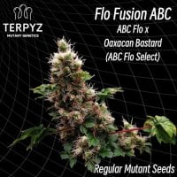 Flo  Fusion  Abc 6