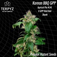 Korean  Bbq  Gpp 6