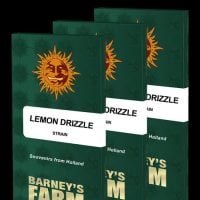 Lemon  Drizzle  Feminised  Cannabis  Seeds