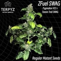 Zfuel  Swag 6